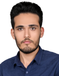 حمیدرضا انصاری کیا