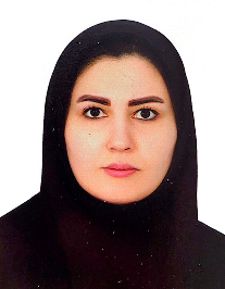 سیده حدیث میرشفیعی لنگری
