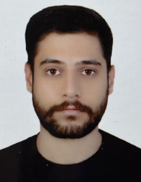 سید امیرحسین بصری