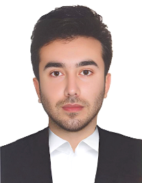 مجتبی رهنمازاده