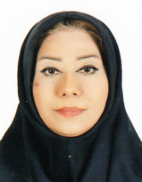 مهری محمد زاده نامقی