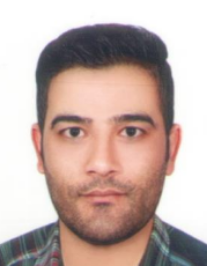 محسن فولادی