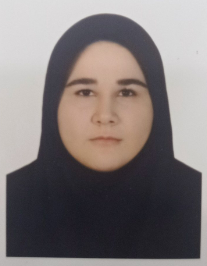 نازنین سلطانی