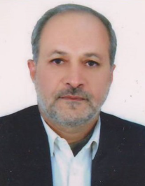 رضا صادقی