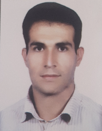 حمید میرویسی
