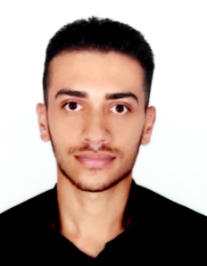 حامد نفری
