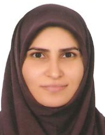هدی حفاری