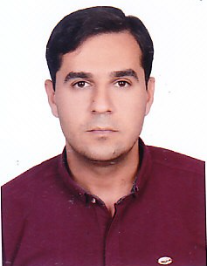 مجتبی سالارپور