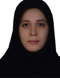 آرزو همام ذاکری لنگرودی