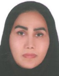 فریبا سلطانلو