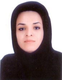 سارا شیخی