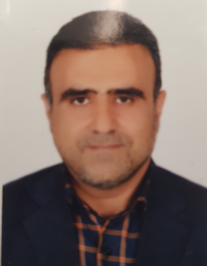 سیدمهدی میری طامه