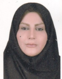 سینا جوادیان