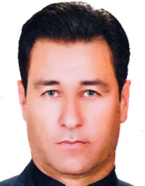 سید محمد فاتحی سینه سر