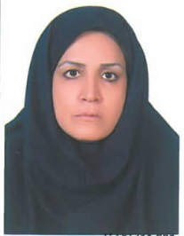 ویدا برزو