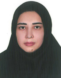 سیده مریم عبدالمنافی رکنی