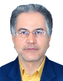 حمید محمدی نژاد