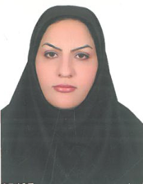 حمیده رجبی فتح آبادی