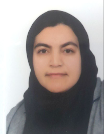 سیده انسیه موسوی بیرکی