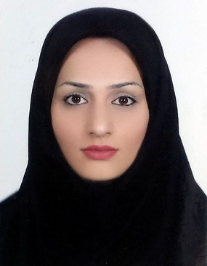 سیده منا حسینی نژاد