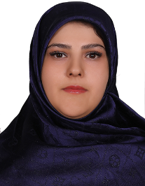 سیده بنت الهدی حسینی