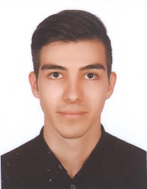 هومن شیخیان