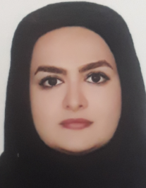 سیده مهلا برزه کار