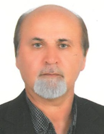 حسین قمری کیوی