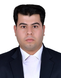 حامد حبیبی