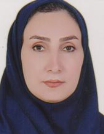 لیلا رزمی