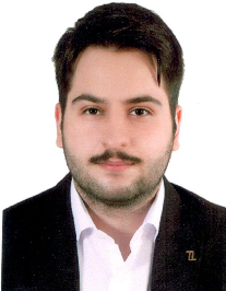 محمدرضا رجبی کرین