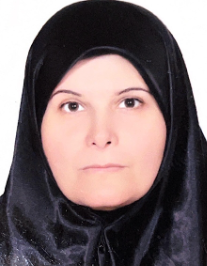 میترا چیت ساز