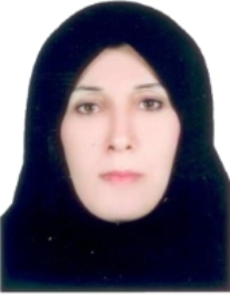 نیره کردی