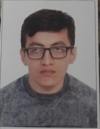 علیرضا کردلو