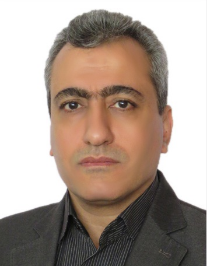سعید میرزاولی