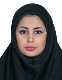 نیکو ارباب سیر