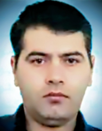 سیدداوود میرسلطانی