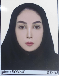 مینا بروجردی