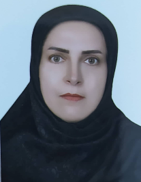 نسرین ولی زاده