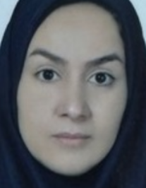مریم ولی نژاد خرمی
