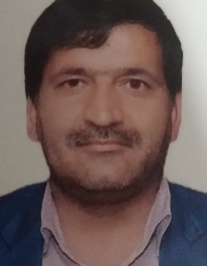 حمزه دانایی