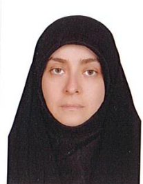 ملیحه مسئله گو