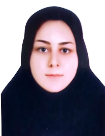 سولماز صالح پورلختکی
