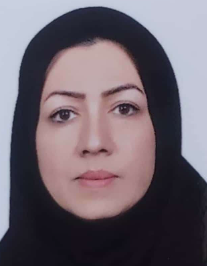 فائزه رسولی فورک