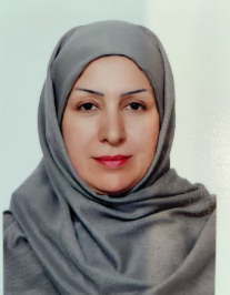 سیده نرگس صدری