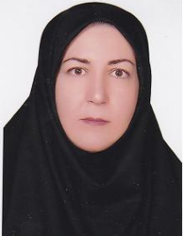 نرگس عرب مقدم