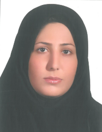فرزانه مومنی شهرکی