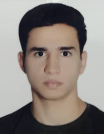 امیررضا سلیمانی مزار