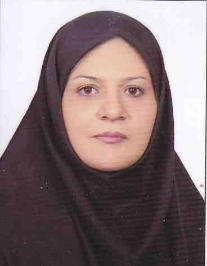 سیده محبوبه امامی
