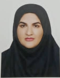 زیبا ملکشاهی بیرانوند